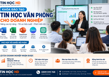 Khóa Học Tin Học Văn Phòng, Canva Và AI Cơ Bản Tại TP.HCM Cho Đối Tác Công Ty
